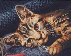 Алмазна картина-розмальовка "Бенгальська кішка" BrushMe 3D ефект подарункова коробка 40x50см GZS1038 в інтернет-магазині "Я - Picasso"