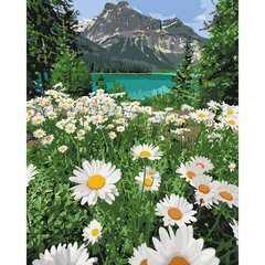 Картина за номерами "Краса природи" Ідейка полотно на підрамнику 40x50см КНО2819 в інтернет-магазині "Я - Picasso"