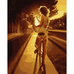 Картина за номерами "Велопрогулка на заході" BrushMe полотно на підрамнику 40x50см GX36798 в інтернет-магазині "Я - Picasso"