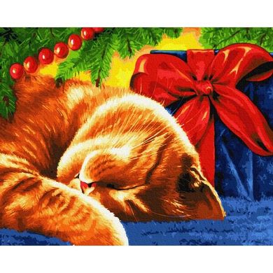 Картина по номерам "Сонный кот" BrushMe холст на подрамнике 40x50см GX30732 в інтернет-магазині "Я - Picasso"