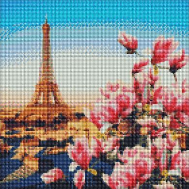 Алмазна мозаїка "Паризькі магнолії" Ідейка полотно на підрамнику 40x40 см AMO7178 в інтернет-магазині "Я - Picasso"