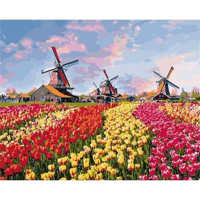 Картина за номерами "Барвисті тюльпани Голландії" Ідейка полотно на підрамнику 40x50см КНО2224 в інтернет-магазині "Я - Picasso"