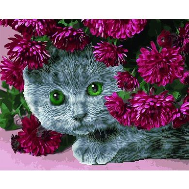 Алмазна картина-розмальовка "Британець в квітах" BrushMe 3D ефект подарункова коробка 40x50 cм GZS1093 в інтернет-магазині "Я - Picasso"