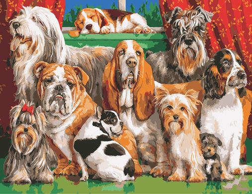 Картина по номерам - Большая компания собак 50x65 в интернет-магазине "Я - Picasso"