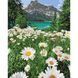 Картина за номерами "Краса природи" Ідейка полотно на підрамнику 40x50см КНО2819