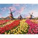Картина за номерами "Барвисті тюльпани Голландії" Ідейка полотно на підрамнику 40x50см КНО2224