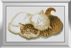 Алмазна мозаїка "Котятки" Dream Art в коробці 31561 в інтернет-магазині "Я - Picasso"