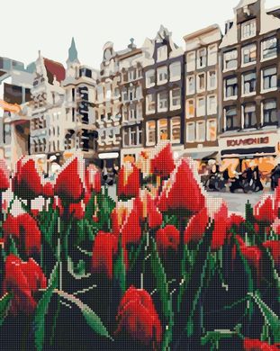 Алмазная картина-раскраска - Тюльпаны Амстердама в интернет-магазине "Я - Picasso"