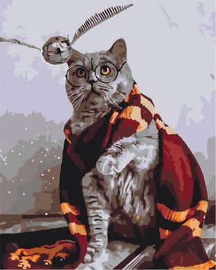 Картина по номерам - Котик ловец снитча 40x50 в интернет-магазине "Я - Picasso"