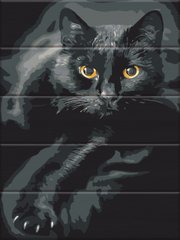 Картина за номерами на дереві "Кіт у темряві" ArtStory подарункова упаковка 30x40см ASW180 в інтернет-магазині "Я - Picasso"