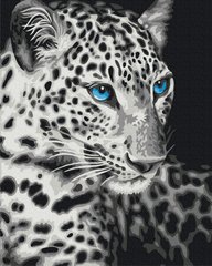Картина по номерам - Голубоглазый тигр в интернет-магазине "Я - Picasso"