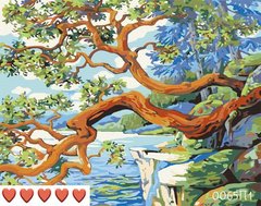 Картини за номерами "Тиха місцина" Барви полотно на підрамнику 40x50 см 0065П1 в інтернет-магазині "Я - Picasso"
