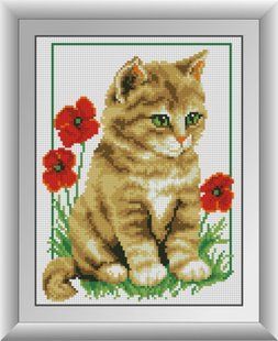 Алмазна мозаїка "Кошеня в маках" Dream Art в коробці 30142 в інтернет-магазині "Я - Picasso"