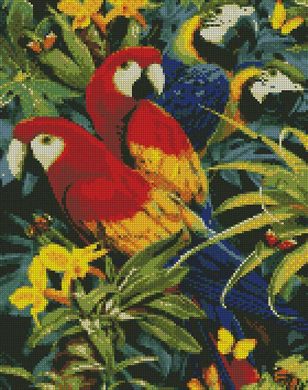 Алмазная мозаика "Разноцветные попугайчики" Идейка 40x50смAMO7029 в интернет-магазине "Я - Picasso"