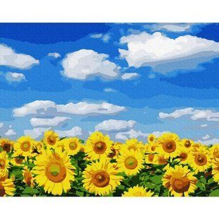 Картина по номерам "Поле подсолнухов" BrushMe холст на подрамнике 40x50см GX32422 в інтернет-магазині "Я - Picasso"