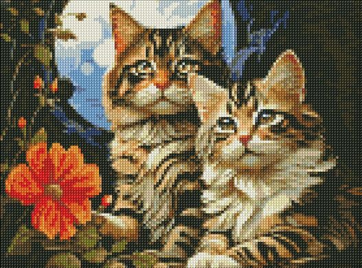 Алмазна мозаїка "Чарівні котики" Ідейка полотно на підрамнику 30x40см AMO7853 в інтернет-магазині "Я - Picasso"