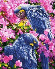 Алмазна картина-розмальовка "Яскраві папуги" BrushMe 3D ефект подарункова коробка 40x50см GZS1130 в інтернет-магазині "Я - Picasso"