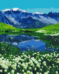 Картина по номерам "Альпийские луга" BrushMe полотно на подрамнике 40x50см BS39458 в интернет-магазине "Я - Picasso"