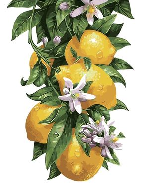 Картина за номерами "Лимонне дерево" ArtStory полотно на підрамнику 30х40см AS0315 в інтернет-магазині "Я - Picasso"