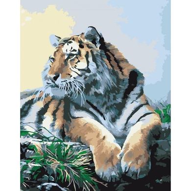 Картина по номерам "Гордий тигр" Идейка холст на подрамнике 40x50см КНО2460 в інтернет-магазині "Я - Picasso"