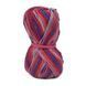 Пряжа Sockwool Prime Multi/Соквул Прайм Мульті, мультіколор 17520, Performance