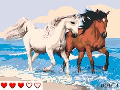 Картини за номерами "Галопом по морю" Барви полотно на підрамнику 40x50 см 0011Т1 в інтернет-магазині "Я - Picasso"