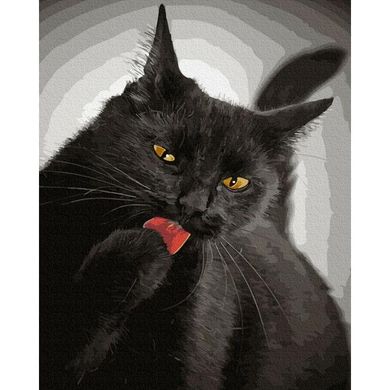 Картина за номерами "Чорна кішечка" BrushMe полотно на підрамнику 40х50см GX21748 в інтернет-магазині "Я - Picasso"