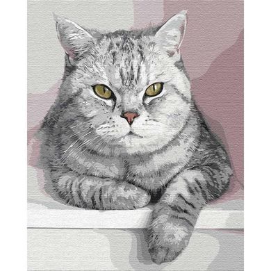 Картина за номерами "Мій пухнастий друг" Ідейка полотно на підрамнику 40x50см КНО4201 в інтернет-магазині "Я - Picasso"