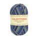 Пряжа Calzetteria/Кальцетерія, мультіколор 704, Tropical Lane