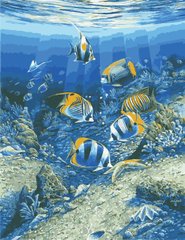 Картина по номерам "Подводный мир" ArtStory в подарочной коробке 50x65см AS0966 в інтернет-магазині "Я - Picasso"