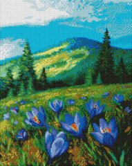 Алмазна мозаїка "Квіти в горах" ArtStory подарункова коробка полотно на підрамнику 40x50см ASM17 в інтернет-магазині "Я - Picasso"