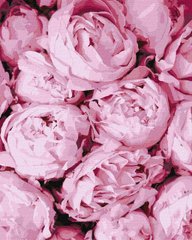 Картина по номерам "Розовая нежность" Идейка холст на подрамнике 40x50см KHO2998 в интернет-магазине "Я - Picasso"