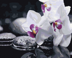 Картина за номерами "Квіти дзену" BrushMe полотно на підрамнику 40х50см BS21140 в інтернет-магазині "Я - Picasso"