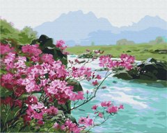 Картина по номерам "Гірські квіти" Brushme 40x50см BS51394 в інтернет-магазині "Я - Picasso"