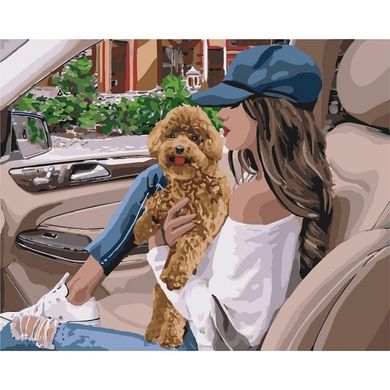 Картина по номерам - Пушистый любимец 40x50 в интернет-магазине "Я - Picasso"