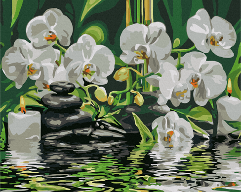 Картина за номерами "Спокій орхідей" BrushMe полотно на підрамнику 40x50см BS29693 в інтернет-магазині "Я - Picasso"