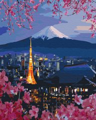 Картина по номерам "Путешествие в Японию" BrushMe холст на подрамнике 40х50см BS26047 в интернет-магазине "Я - Picasso"