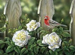 Алмазная мозаика "Птичка на садовых розах" Алмазная мозаика 30x40см DM-330 в интернет-магазине "Я - Picasso"