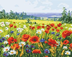 Картина за номерами "Поле квітів" ArtStory подарункова упаковка 40x50см AS0546 в інтернет-магазині "Я - Picasso"