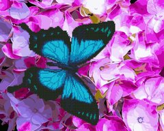 Алмазна картина-розмальовка "Метелик на квітах" BrushMe 3D ефект подарункова коробка 40x50см GZS1132 в інтернет-магазині "Я - Picasso"