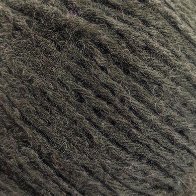 Пряжа Bambino Lux Wool/Бамбино Люкс Вул, болотный 70409, Etrofil