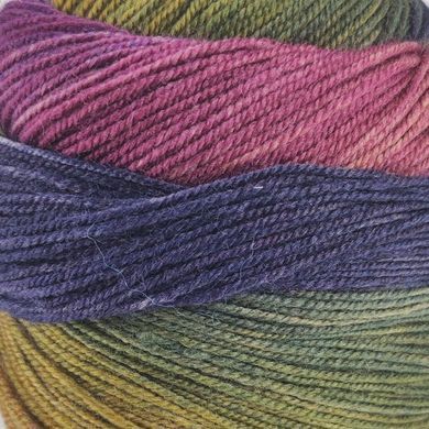 Пряжа Harmonious Sock/Хармониус Сок, фиолетовый-буряковый-хакі-синий мультиколор 3, Laines du Nord