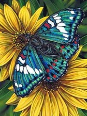 Алмазна мозаїка "Метелик на гербері" Алмазна мозаїка 30x40см DM-178 в інтернет-магазині "Я - Picasso"
