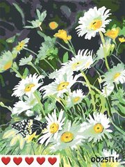 Картины по номерам "полевые ромашки" Барвы холст на подрамнике 40x50 см 0025П1 в интернет-магазине "Я - Picasso"
