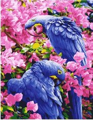 Картина за номерами "Птахи в квітах" BrushMe полотно на підрамнику 40x50см GX25245 в інтернет-магазині "Я - Picasso"