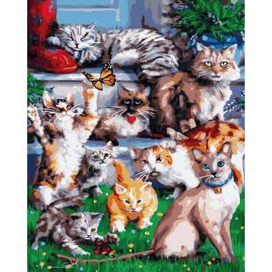 Картина по номерам "Домашние котики" BrushMe холст на подрамнике 40x50см GX33767 в інтернет-магазині "Я - Picasso"