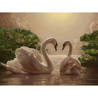 Картины по номерам - Пара лебедей 40х50 в интернет-магазине "Я - Picasso"