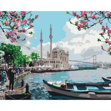 Картина по номерам - Турецкое побережье 40х50 в интернет-магазине "Я - Picasso"