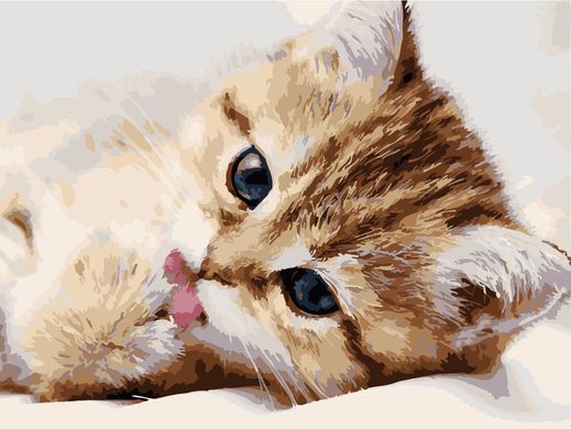 Картина за номерами "Маленький котёнок" BrushMe полотно на підрамнику 40х50см H681 в інтернет-магазині "Я - Picasso"