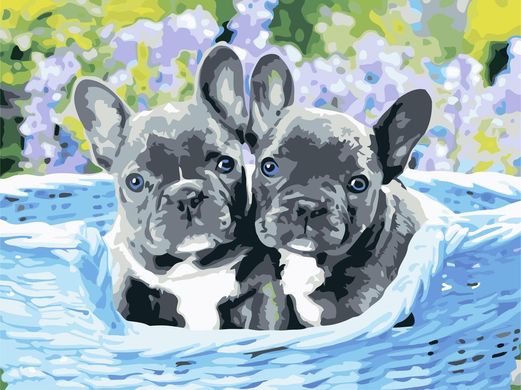 Картина по номерам - Два пёсика 30x40см в интернет-магазине "Я - Picasso"